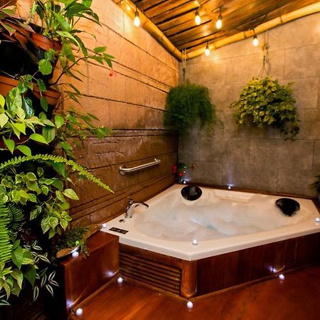 Casa Suculenta ,Monteverde Con Jacuzzi Privado Y Lavanderia Exteriér fotografie