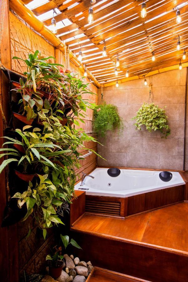 Casa Suculenta ,Monteverde Con Jacuzzi Privado Y Lavanderia Exteriér fotografie
