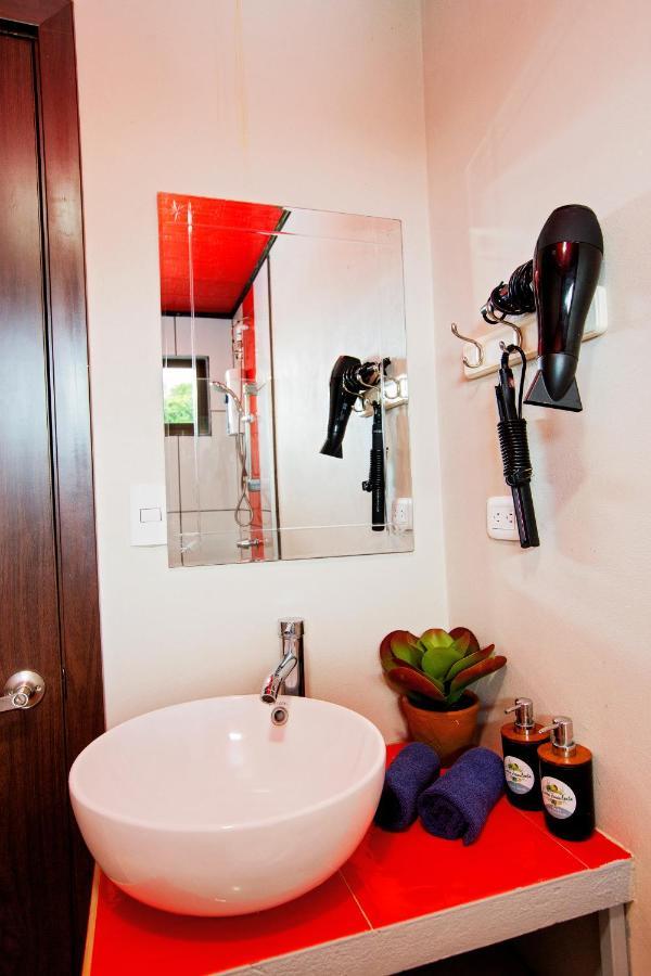 Casa Suculenta ,Monteverde Con Jacuzzi Privado Y Lavanderia Exteriér fotografie
